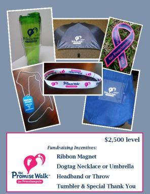 For our amazing $2500 participants, we send them all of the above, our awesome Promise Walk tumbler, and a special custom-made thank you gift from our staff.